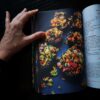Солена книга Нисковъглехидратни рецепти